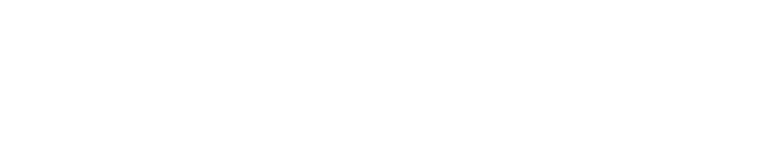 Padu icon